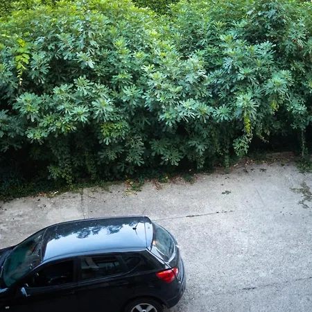 Apartman Jankovic Arandjelovac Exterior photo